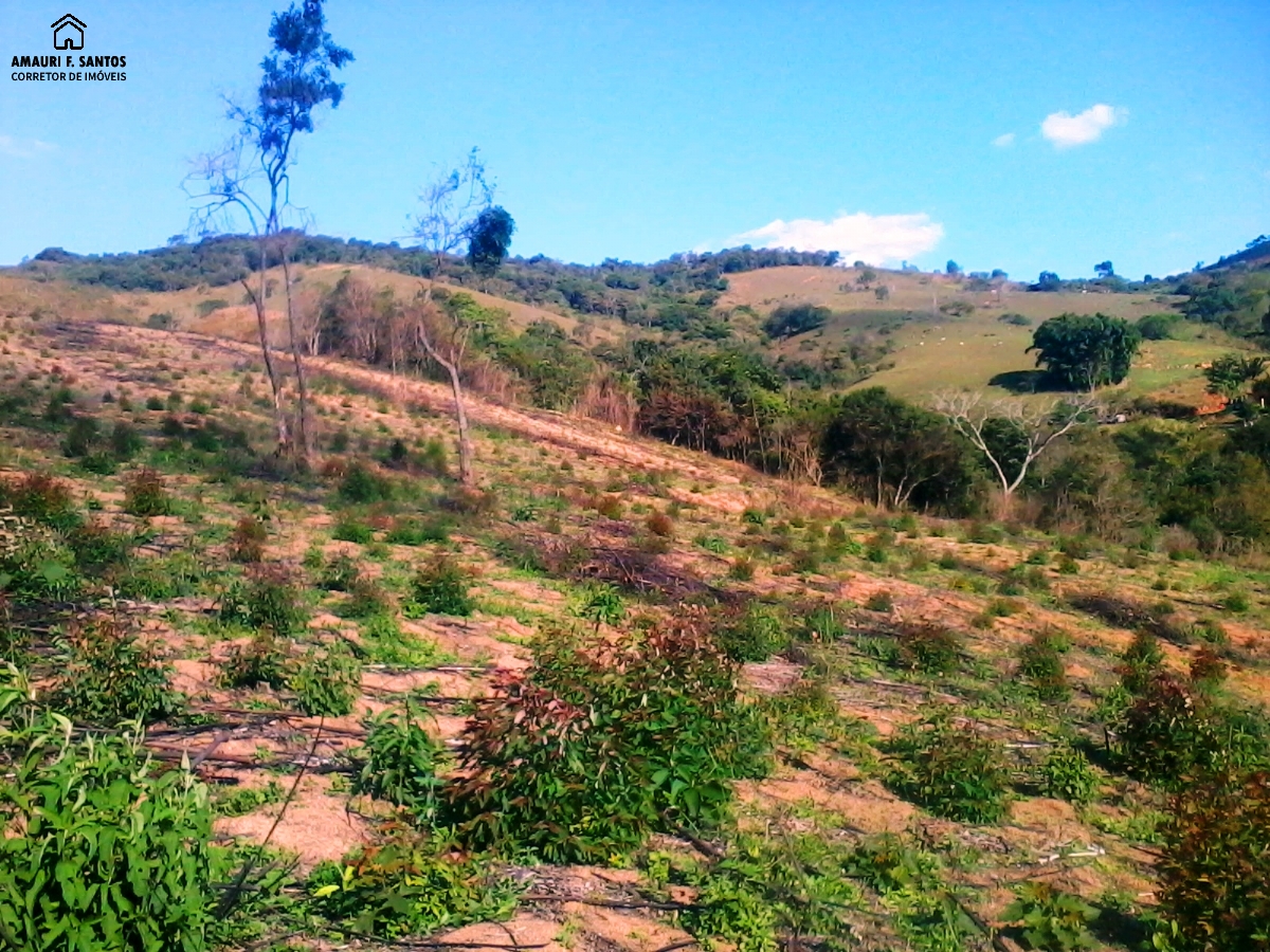 Sítio em , São Roque - Foto 6